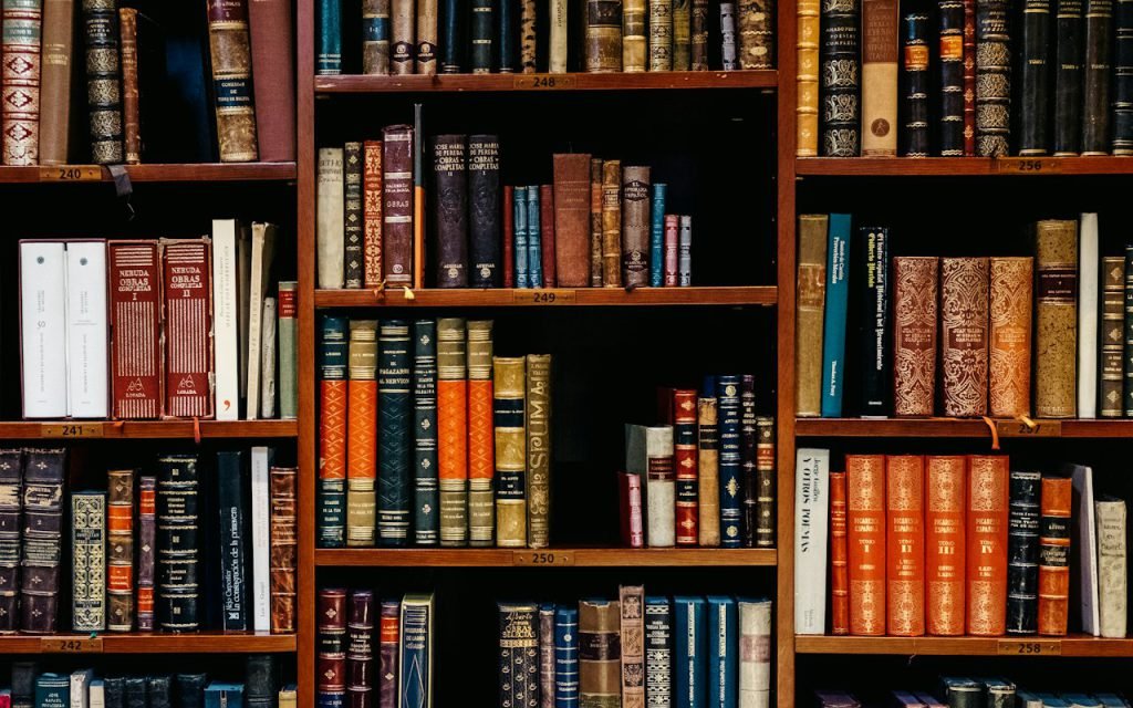 Opinion: Our Libraries Are the Last Free Indoor Places. Fund Them Like It