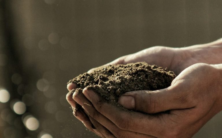 Composting 101: Turning Scraps Into Soil