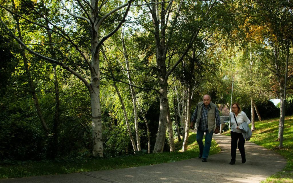 Two people walking side by side along a sunny path