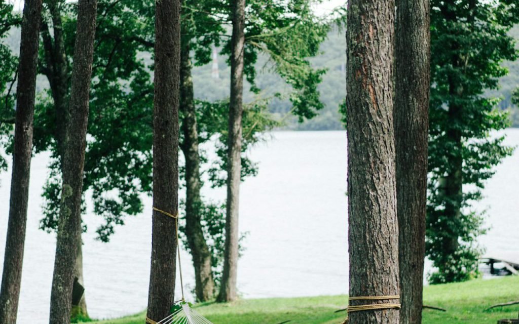 A hammock strung between trees in a quiet forest