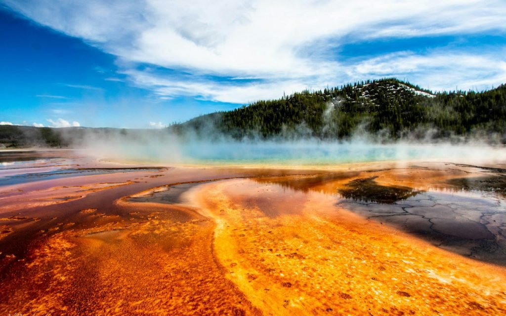 Yellowstone in Five Days: Geysers, Wildlife and Where to Stay